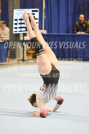 2025-RealmClassic-Saturday-Session8-Gold_Adult-Floor-Olympic-JJ-0004
