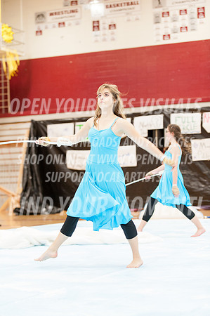 2014-OYEV-NWPA-Championships-Eurythmic-27
