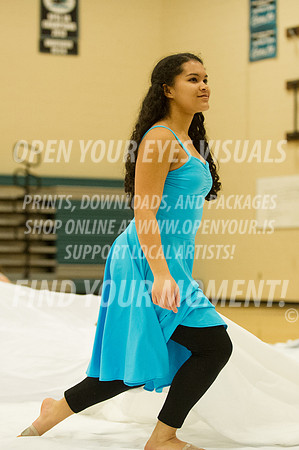 2014-OYEV-NWPA-BonneyLake-Eurythmic-45