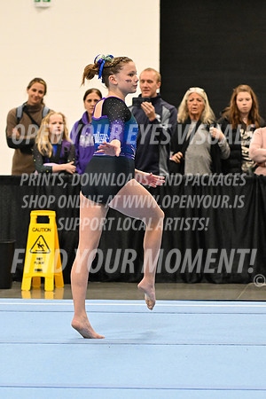 2025-NextEra-Friday-GymB-Platinum-GymnasticsConnection-BH-0037