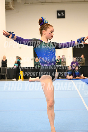 2025-NextEra-Friday-GymB-Platinum-GymnasticsConnection-BH-0017