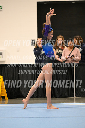 2025-NextEra-Friday-GymB-Platinum-GymnasticsConnection-BH-0066