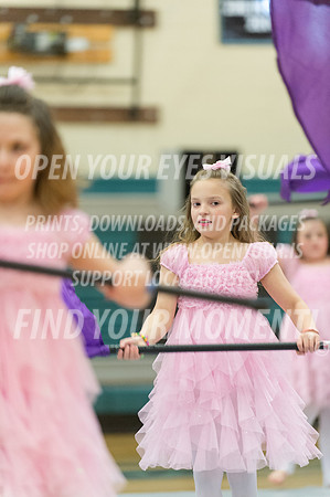 2015-BonneyLake-HillsboroMinis-41