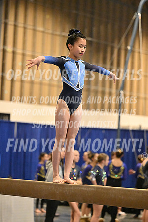 2025-RealmClassic-Saturday-Session8-Gold_Adult-Beam-CascadeElite-BH-0103
