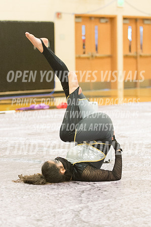 2015-BonneyLake-Skyview-25