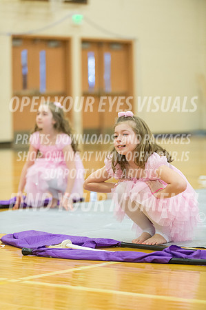 2015-BonneyLake-HillsboroMinis-52