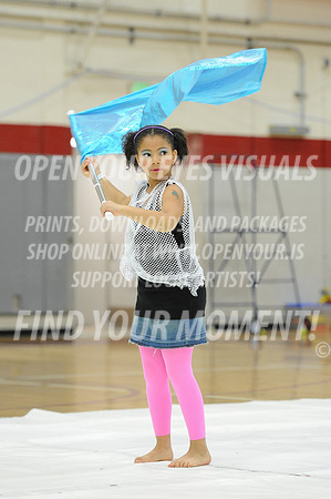 2014-OYEV-NWPA-Championships-RhapsoWiggles-13