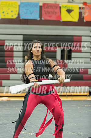 2015-Glencoe-SouthridgeDanceAndGuardEnsemble-37