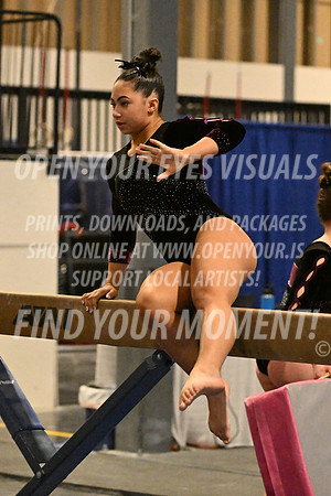 2025-RealmClassic-Friday-Session4-Div8_10_DS-Beam-Dynamic-BH-0049