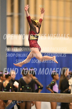 2025-RealmClassic-Saturday-Session7-Div4_5-Beam-AppleCapital-BH-0041