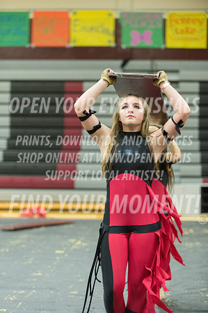2015-Glencoe-SouthridgeDanceAndGuardEnsemble-61