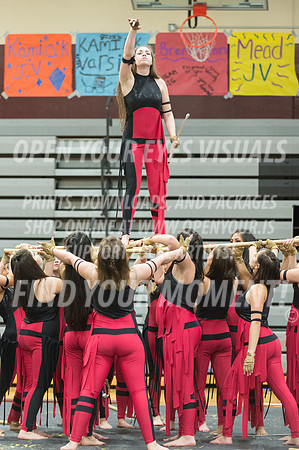 2015-Glencoe-SouthridgeDanceAndGuardEnsemble-84