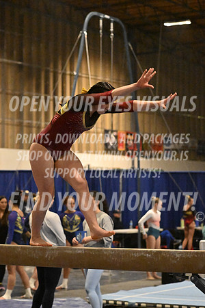 2025-RealmClassic-Friday-Session4-Div8_10_DS-Beam-AppleCapital-BH-0049