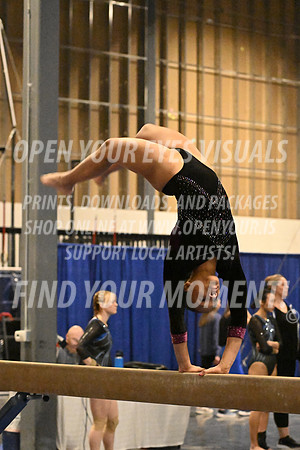2025-RealmClassic-Friday-Session4-Div8_10_DS-Beam-Dynamic-BH-0114