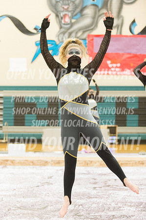 2015-BonneyLake-Skyview-23