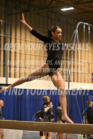 2025-RealmClassic-Friday-Session4-Div8_10_DS-Beam-Dynamic-BH-0116
