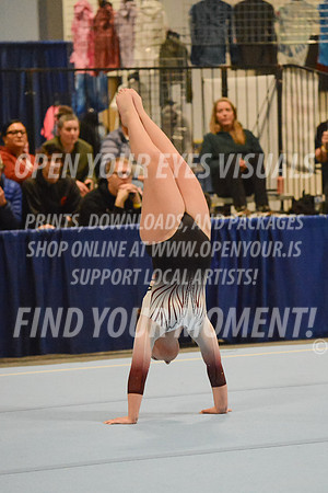 2025-RealmClassic-Friday-Session3-Platinum-Floor-Olympic-JJ-0023