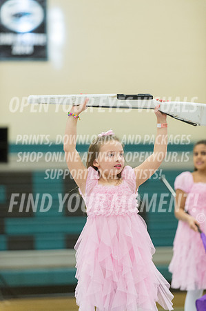 2015-BonneyLake-HillsboroMinis-24