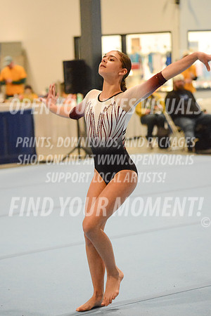 2025-RealmClassic-Friday-Session3-Platinum-Floor-Olympic-JJ-0009