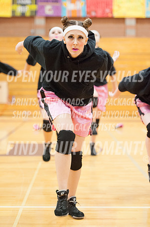 2014-OYEV-NWPA-Kamiak-SkyviewExhibition-17