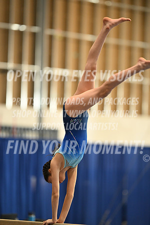 2025-RealmClassic-Friday-Session2-Silver-Beam-Northcoast-BH-0105