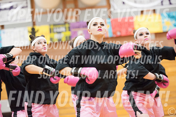 2014-OYEV-NWPA-Kamiak-SkyviewExhibition-10