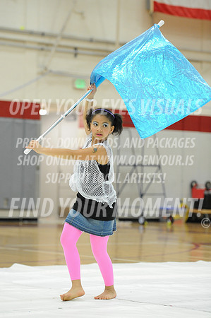 2014-OYEV-NWPA-Championships-RhapsoWiggles-12