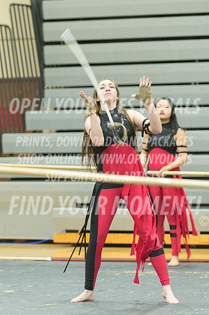 2015-Glencoe-SouthridgeDanceAndGuardEnsemble-5