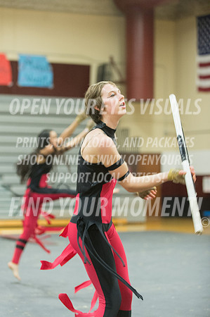 2015-Glencoe-SouthridgeDanceAndGuardEnsemble-63