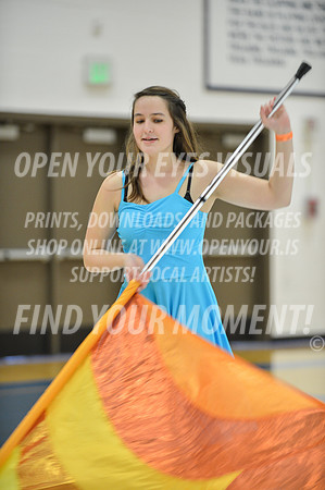 2014-OYEV-Kitsap2014-Eurythmic-18