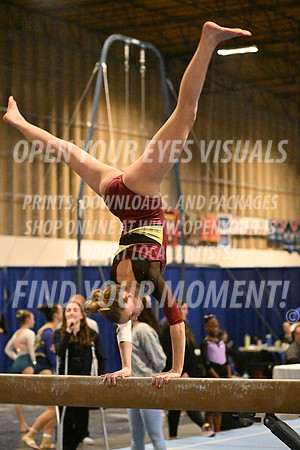 2025-RealmClassic-Friday-Session4-Div8_10_DS-Beam-AppleCapital-BH-0010