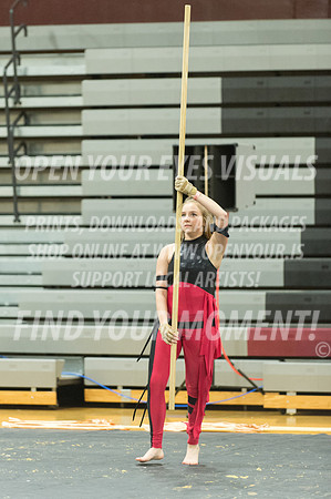 2015-Glencoe-SouthridgeDanceAndGuardEnsemble-21