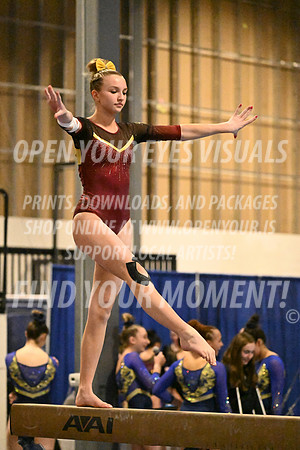 2025-RealmClassic-Friday-Session4-Div8_10_DS-Beam-AppleCapital-BH-0006