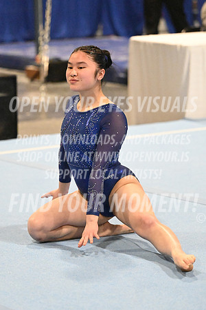2025-RealmClassic-Friday-Floor-Xcel Diamond Sapphire 8910-Bainbridge Island-RR-1