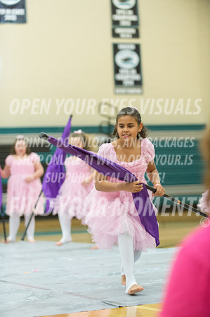 2015-BonneyLake-HillsboroMinis-33