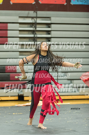 2015-Glencoe-SouthridgeDanceAndGuardEnsemble-23