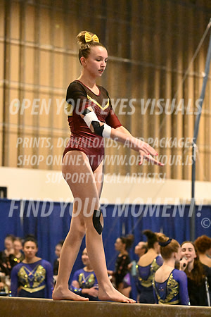 2025-RealmClassic-Friday-Session4-Div8_10_DS-Beam-AppleCapital-BH-0013