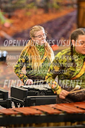 2025-NorthThurston-Percussion-SouthAlbany-BH-0007