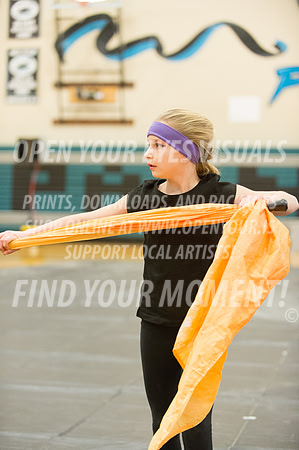 2015-BonneyLake-Triad-17