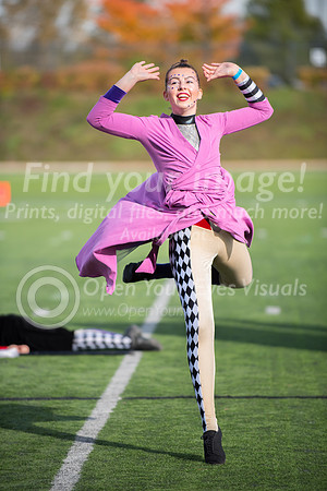 2016-LMAC- Kamiak Show Band-3