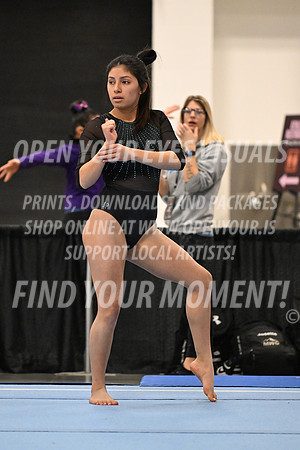2025-NextEra-Friday-GymB-Platinum-AvantCouer-BH-0052