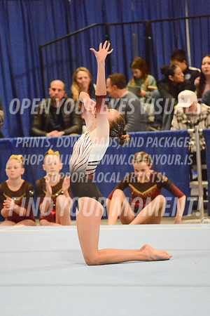 2025-RealmClassic-Saturday-Session8-Gold_Adult-Floor-Olympic-JJ-0026