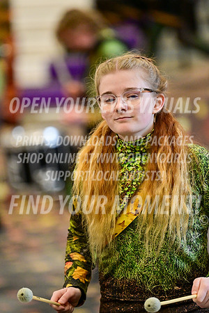 2025-NorthThurston-Percussion-South Albany Indoor Percussion-KG-137