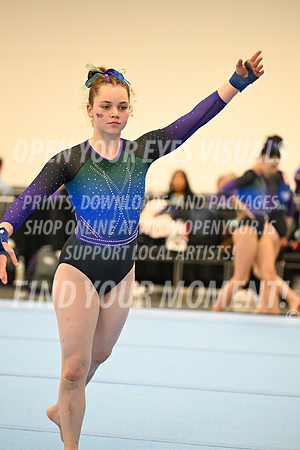 2025-NextEra-Friday-GymB-Platinum-GymnasticsConnection-BH-0011