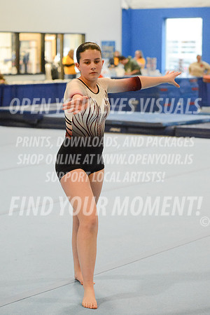 2025-RealmClassic-Friday-Session3-Platinum-Floor-Olympic-JJ-0016