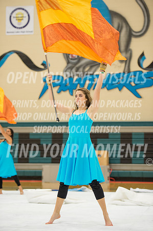 2014-OYEV-NWPA-BonneyLake-Eurythmic-19