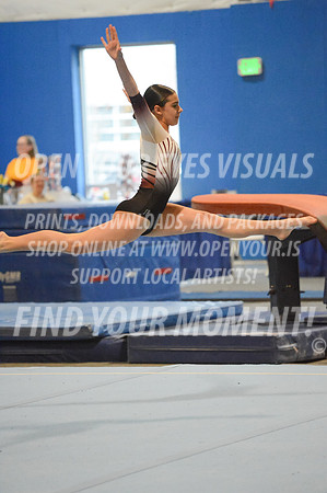 2025-RealmClassic-Friday-Session3-Platinum-Floor-Olympic-JJ-0011