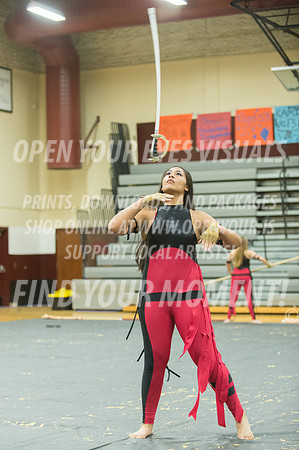 2015-Glencoe-SouthridgeDanceAndGuardEnsemble-34