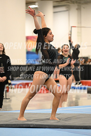 2025-NextEra-Friday-GymB-Platinum-AvantCouer-BH-0055