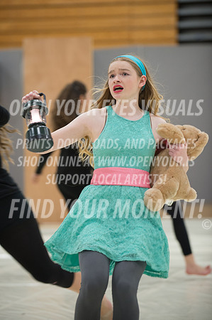 2015-Bainbridge-NorthKitsap-40